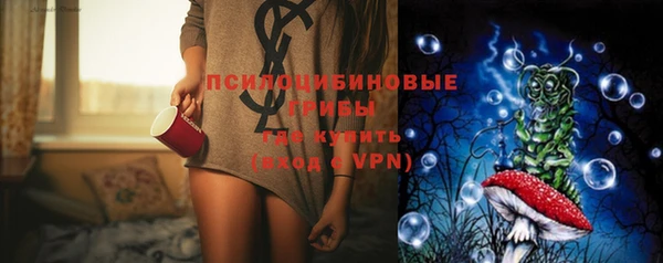 a pvp Алексин