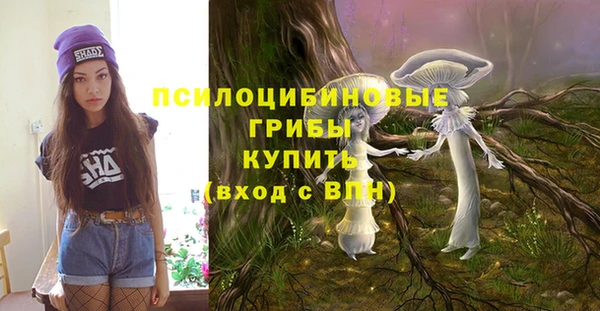 a pvp Алексин